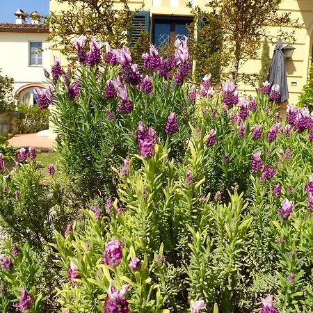 Holiday home Cerine Altopascio