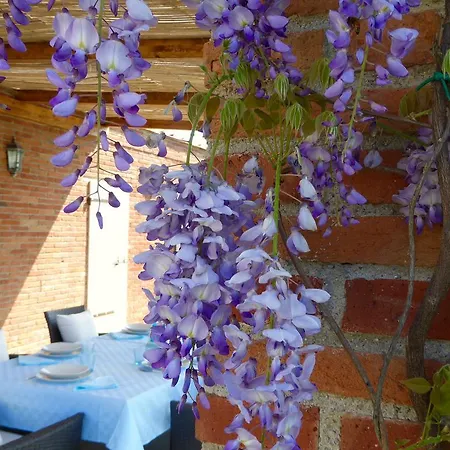 Cerine Holiday home